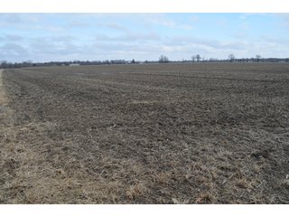 Property photo 52 - 173 +/- Acres Offered in 3 Tracts - Ohio Farmland